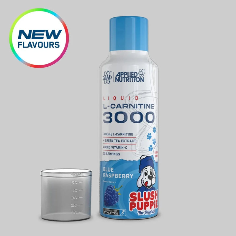 Master Muscles | L-Carnitine Liquid 3000 with Green Tea | إل-كارنيتين 3000 (سائل) مدعم بخلاصة الشاي الأخضر | بروتين، مكملات غذائية