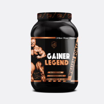 WBS GAINER LEGEND 3KG